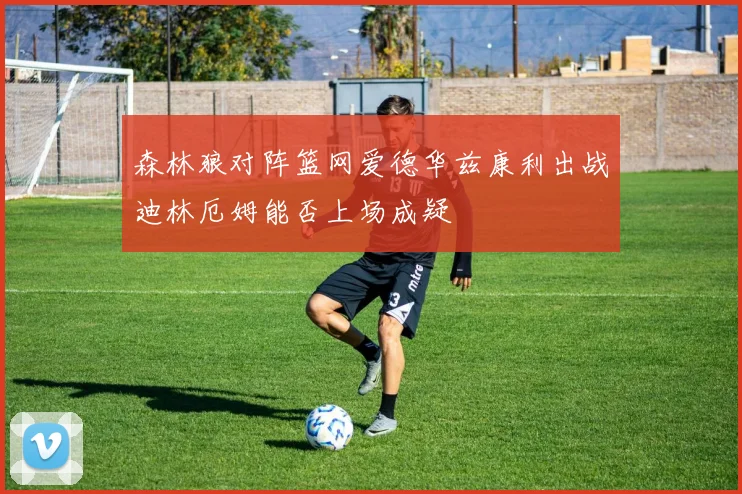 森林狼对阵篮网爱德华兹康利出战迪林厄姆能否上场成疑