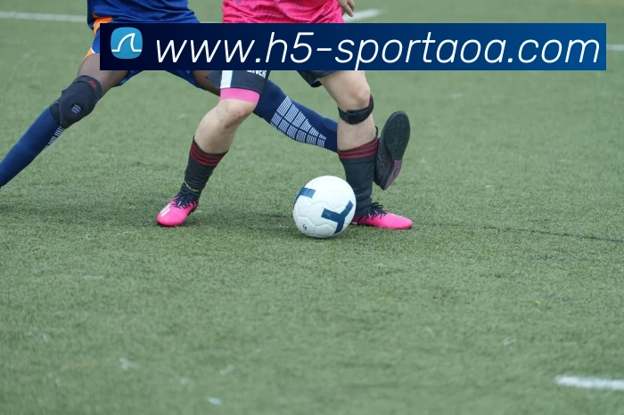 App Interface Preview