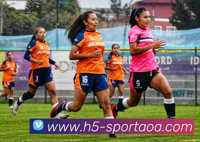 AOA体育APP 封面图