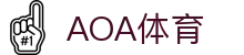AOA体育(CN)官方网站-AOASPORTS
